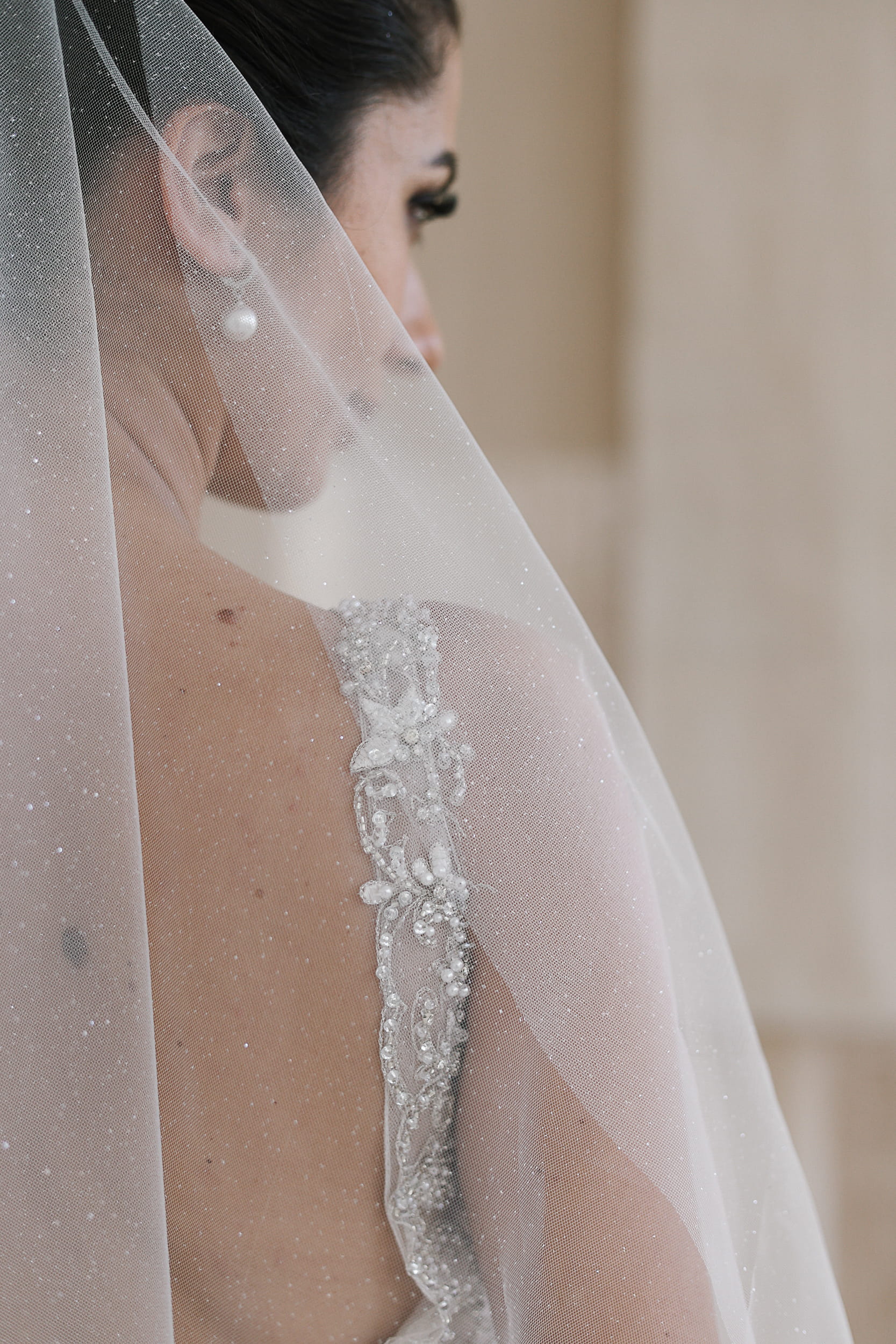 Myra - One Tier Fine Glitter Wedding Veil - Image 5